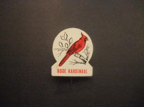 Rode kardinaal ( zangvogel)